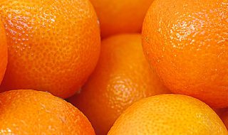 export agrumi