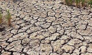 emergenza siccità agricoltura