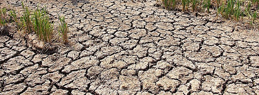 emergenza siccità agricoltura