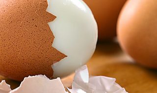 scandalo uova al fipronil