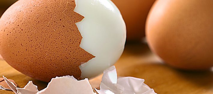 scandalo uova al fipronil