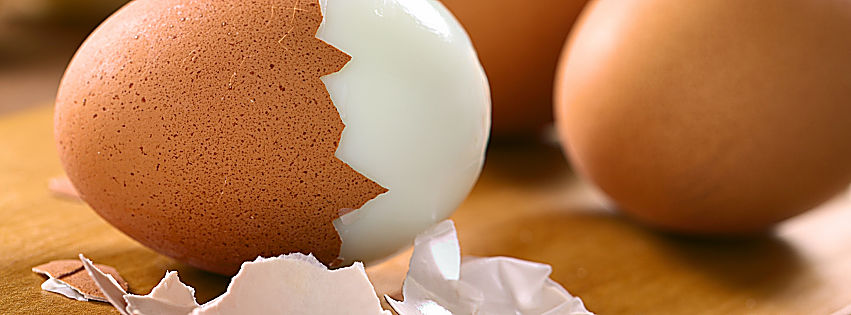 scandalo uova al fipronil
