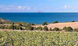 migliori vini della sardegna 2018