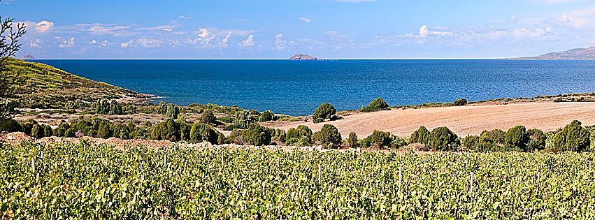 migliori vini della sardegna 2018