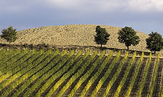 migliori vini umbria 2018