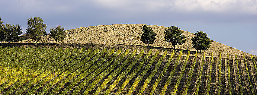 migliori vini umbria 2018