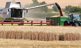 bonus giovani agricoltori 2018