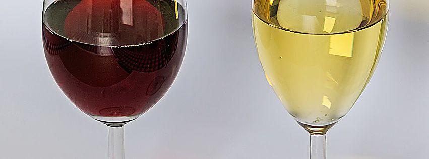 migliori vini italiani 2018 annuario luca maroni
