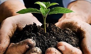 agricoltura biodinamica italia