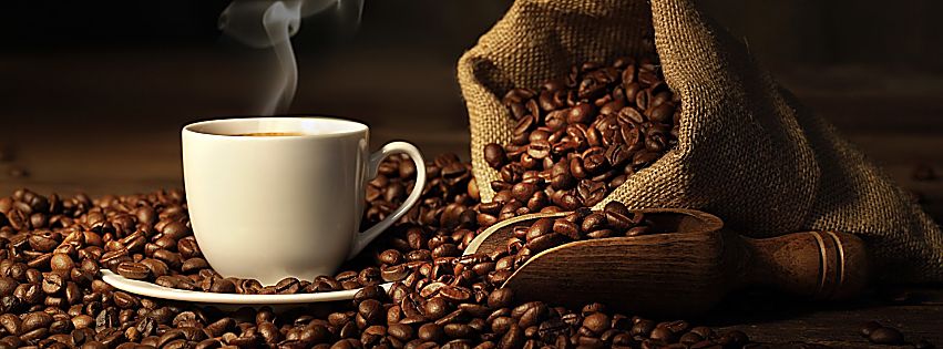 caffè italia aziende fatturato