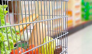prodotto dell'anno 2018 aziende food