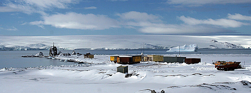 verdure in antartide