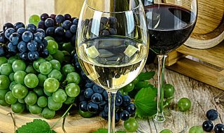migliori vini doc pramaggiore 2018