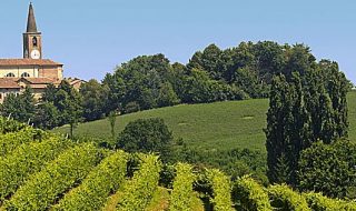 migliori vini lombardi 2019