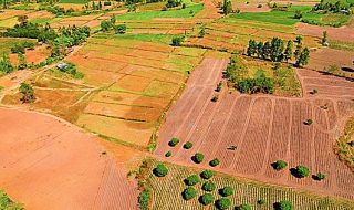 vendita terreni agricoli nel 2018