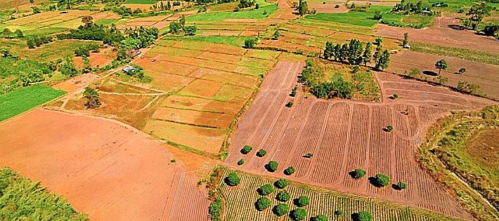 vendita terreni agricoli nel 2018
