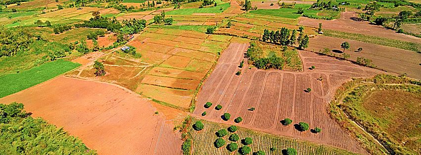 vendita terreni agricoli nel 2018