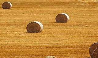 def 2019 agricoltura