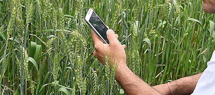 innovazione in agricoltura 2019
