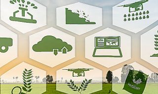 assincampo nuovo strumento web