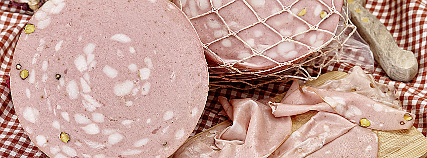 mortadella bologna igp dati 2019