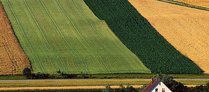 agricoltura europea import export