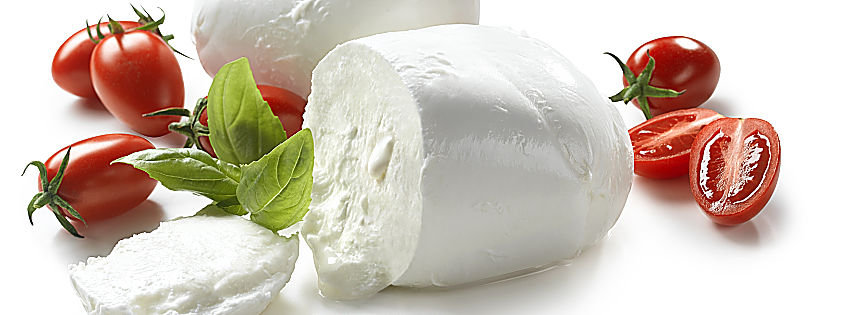 mozzarella di bufala campana dati 2019