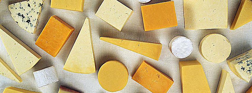 formaggi senza lattosio dati 2019
