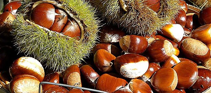 castagne italiane dati 2019