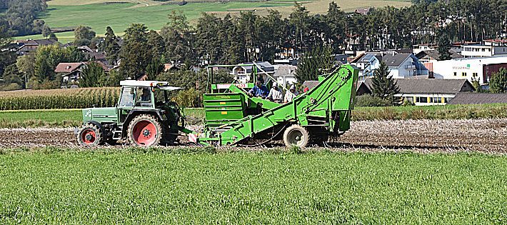 filiera agroalimentare italiana pil