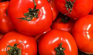 pomodori 2019 produzione italiana