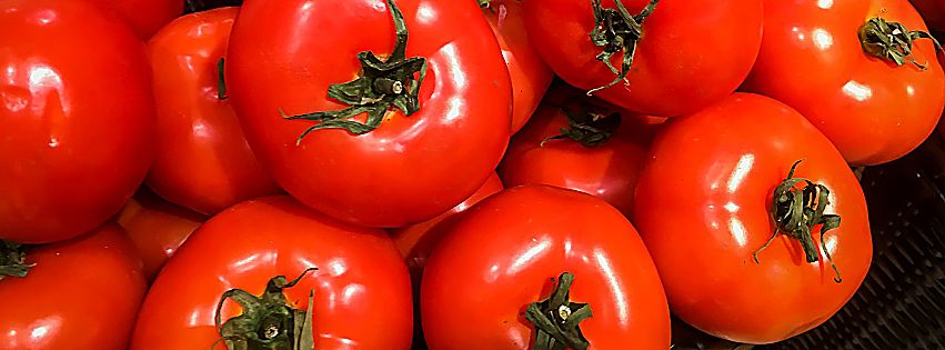 pomodori 2019 produzione italiana