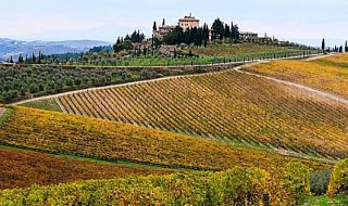 migliori vini toscani 2021