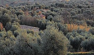 paesaggi rurali novità