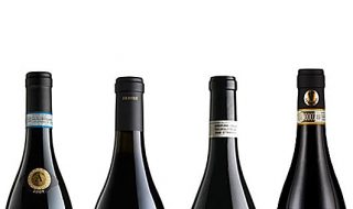 migliori vini 2021 secondo i sommelier