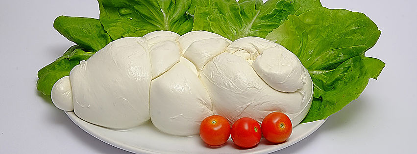 mozzarella di gioia del colle dop