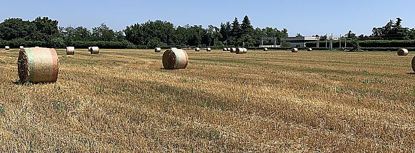 legge di bilancio 2021 agroalimentare