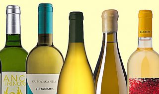 export vinicolo 2021 dati