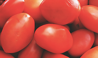 pomodoro napoli igp proteste puglia