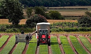 dl sostegni bis agroalimentare
