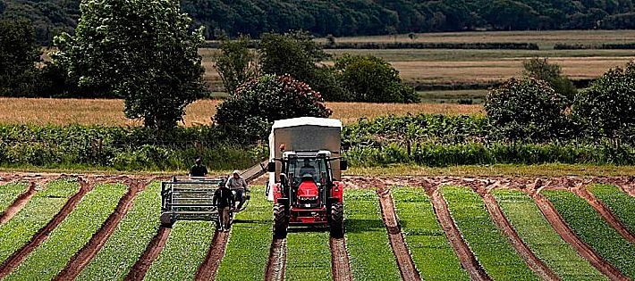 dl sostegni bis agroalimentare