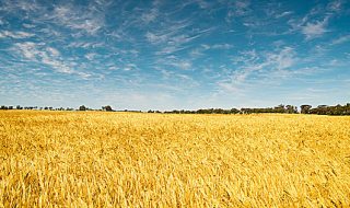 banca nazionale delle terre agricole 2021