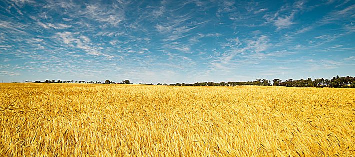 banca nazionale delle terre agricole 2021