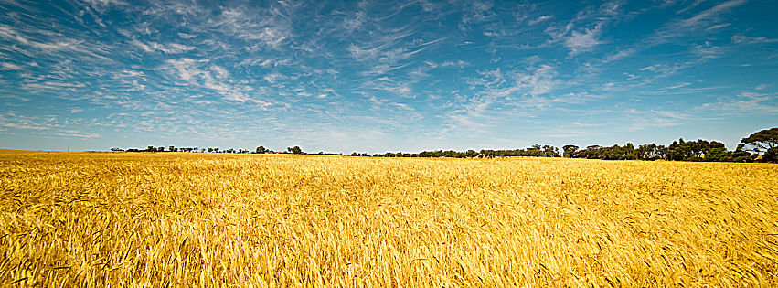 banca nazionale delle terre agricole 2021