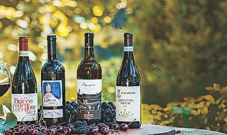 ocm vino 2021-2022 finanziamenti