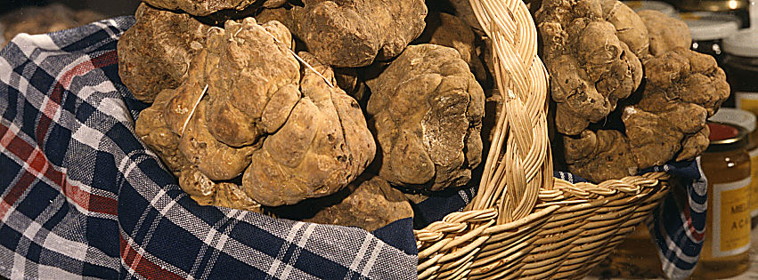 cerca e cavatura del tartufo unesco