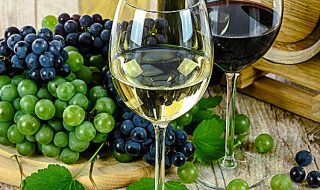 export vinicolo 2021 crescita