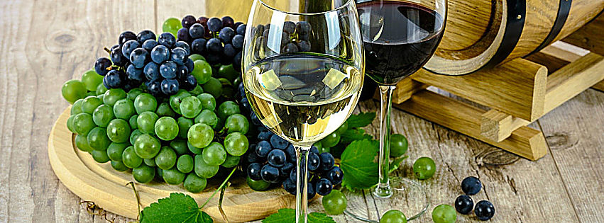 export vinicolo 2021 crescita
