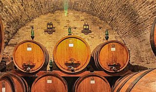 migliori vini 2022 secondo i sommelier
