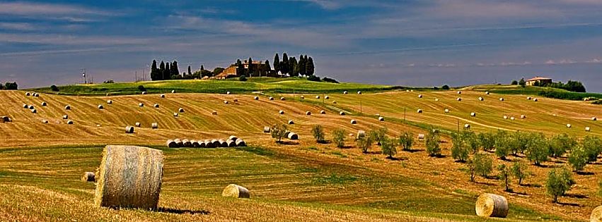 pratiche sleali agroalimentare